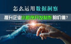 怎么运用数据洞察，提升企业小程序开发制作的价值？