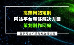 高端网站定制，网站平台整体解决方案策划制作网站
