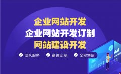 [企业网站开发]企业网站开发订制|网站建设开发