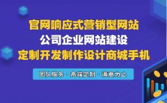 官网响应式营销型网站/公司企业网站建设/定制开发制作设计商城