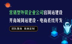 营销型外贸企业公司官网站建设开商城网站建设电商系统开发